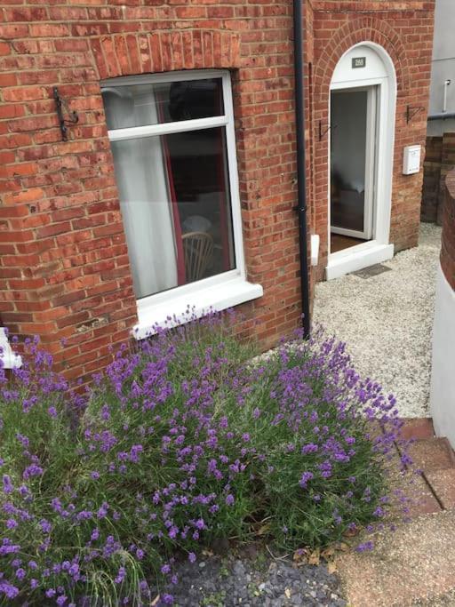 Spacious 5 Large Bedroom Victorian House - Beach 2 Miles Poole Buitenkant foto